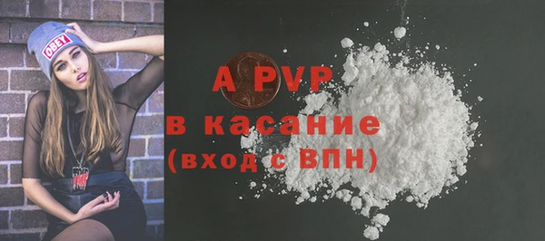 хмурый Каменка