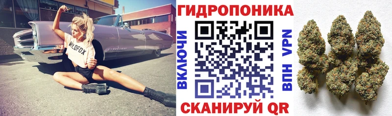 Купить закладки  Клин  Канабис White Widow 
